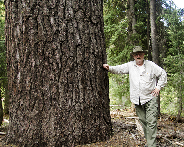 Larry and record tree