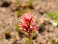 AUG0406 028