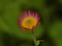 AUG0806 006a