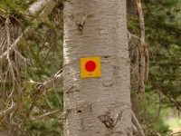 AUG0806 009