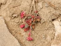 AUG0806 014