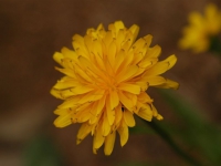 AUG0806 021
