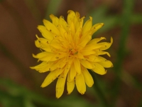 AUG0806 022
