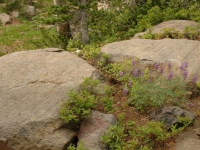 AUG0806 025
