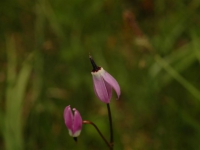 AUG0806 030