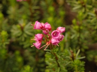 AUG0806 031