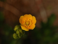AUG0806 039