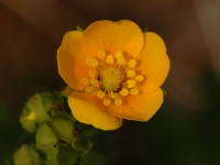 AUG0806 039a
