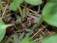 may0507 006