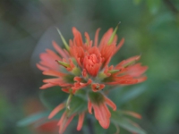 may0507 008