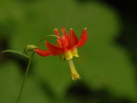 JUL0606 004