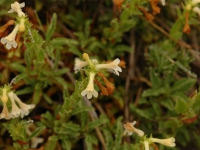 JUL0606 017