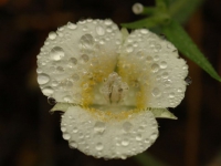 JUL0606 021
