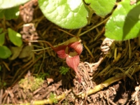 JUN3006 021